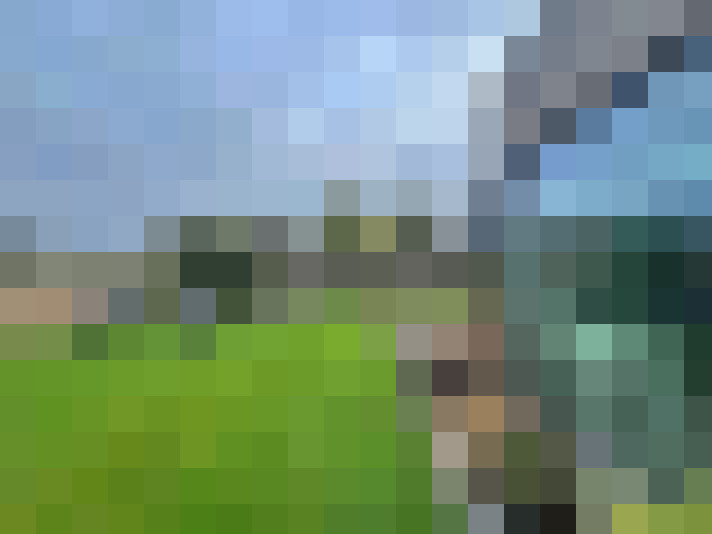 Image 26