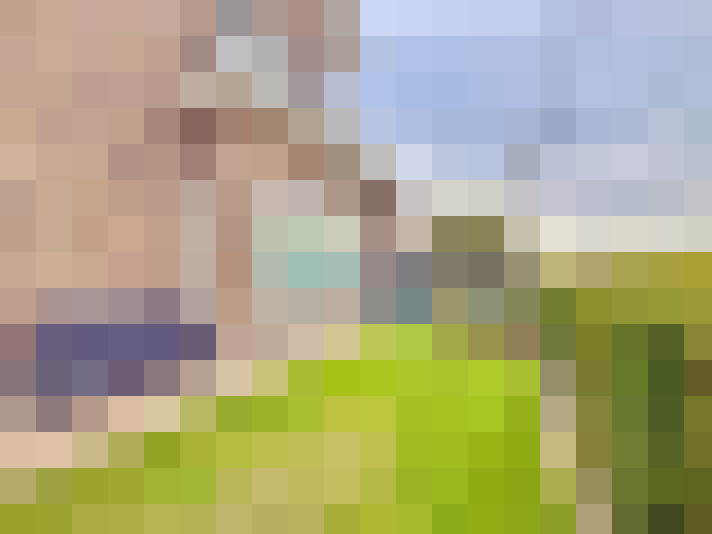 Image 29