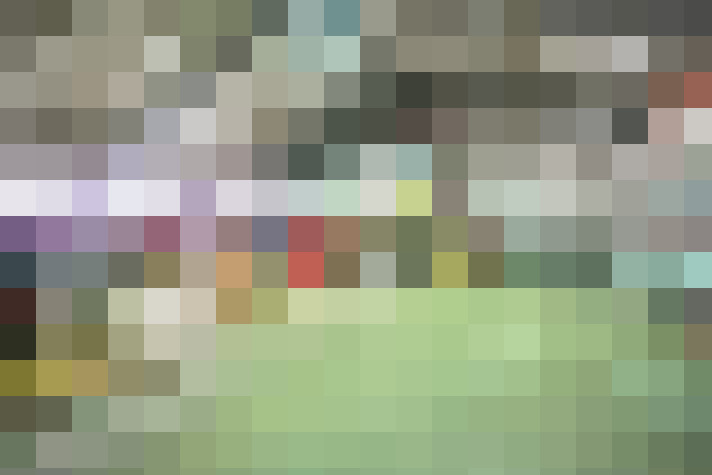 Image 24