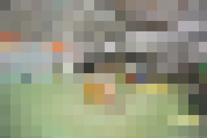 Image 22