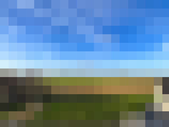 Image 23