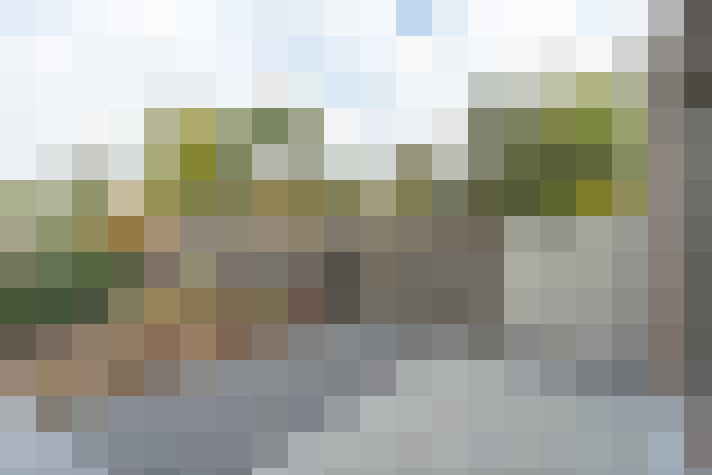 Image 14