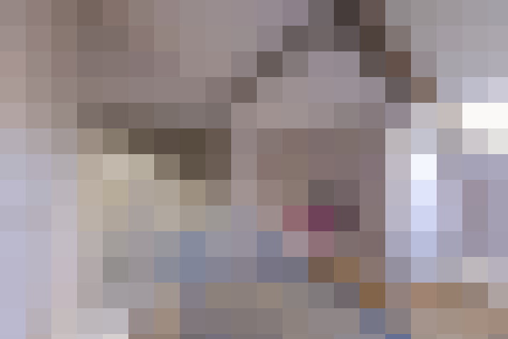 Image 22