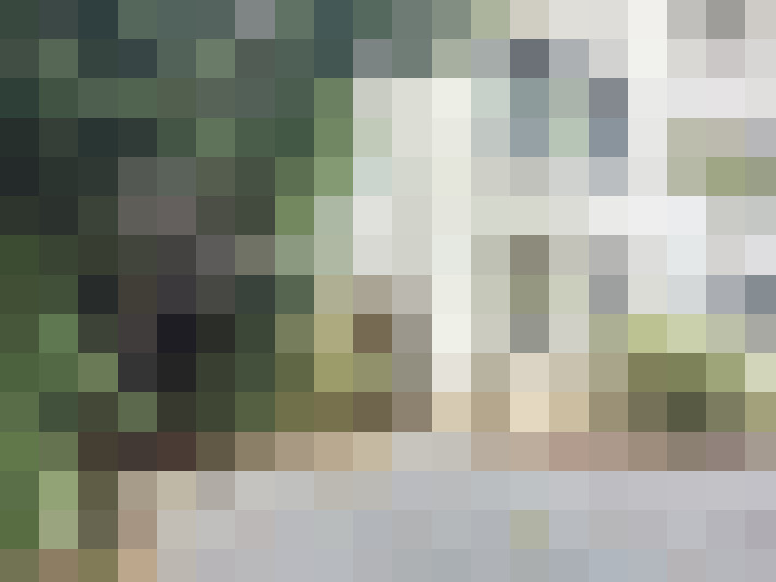 Image 28