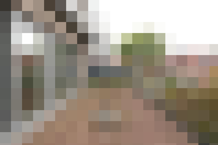 Image 14