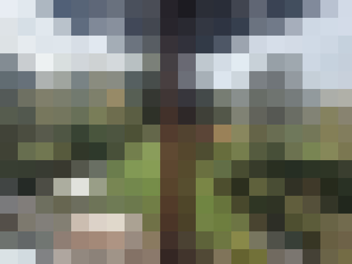 Image 20