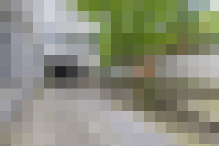 Image 25