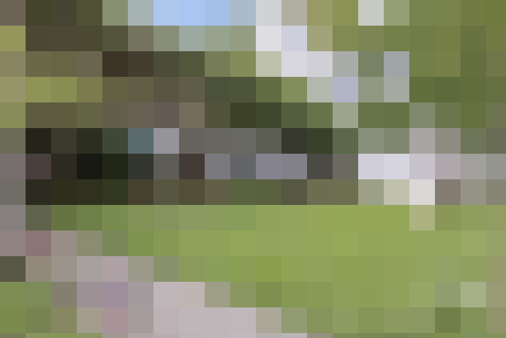 Image 27