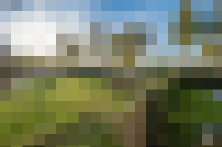 Image 22