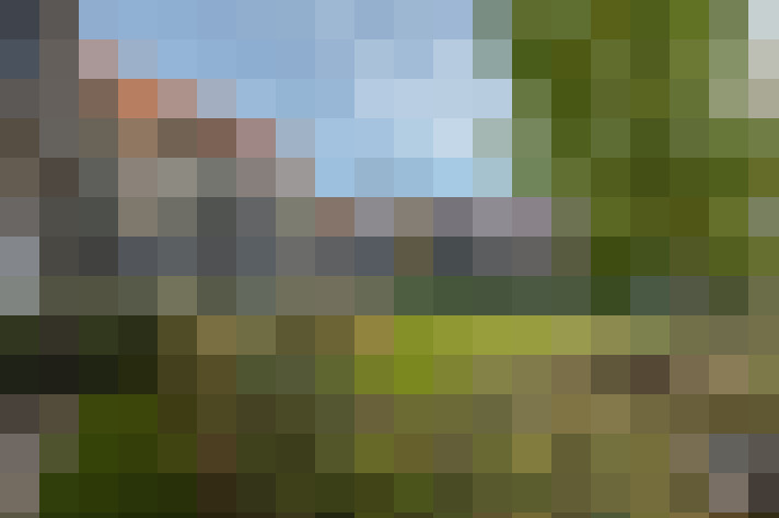 Image 23