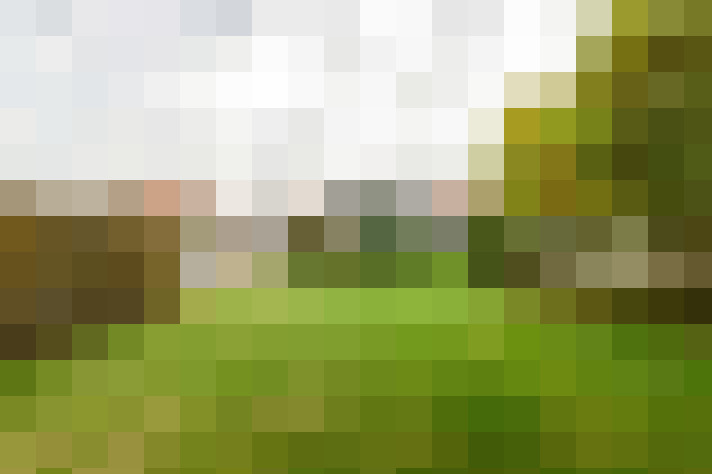 Image 41