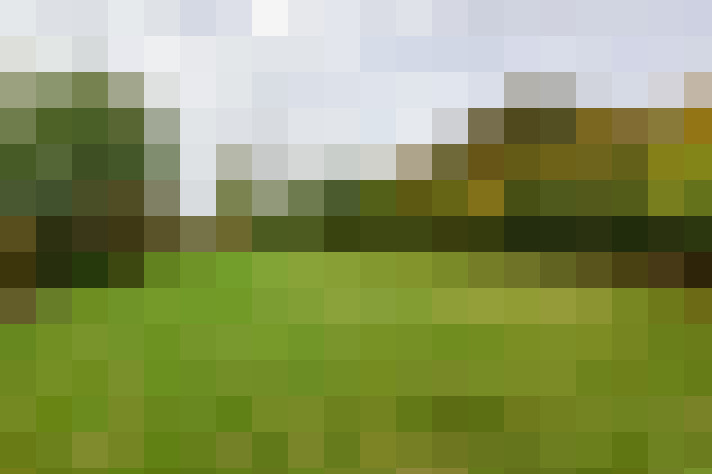 Image 40