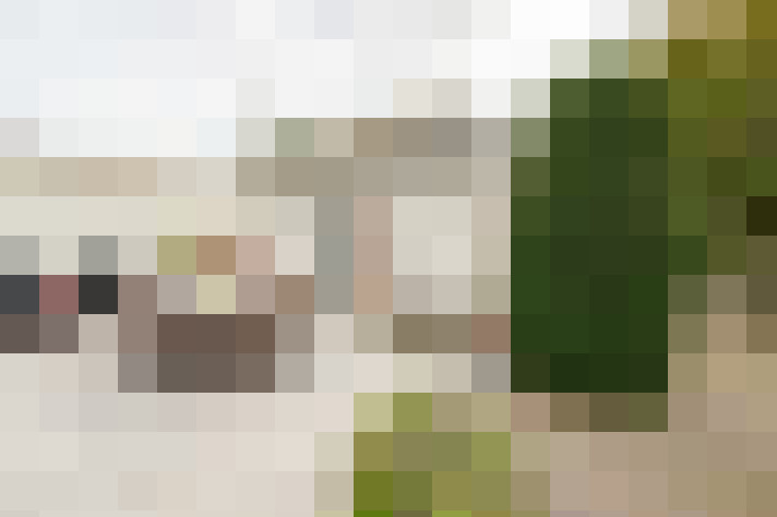 Image 42