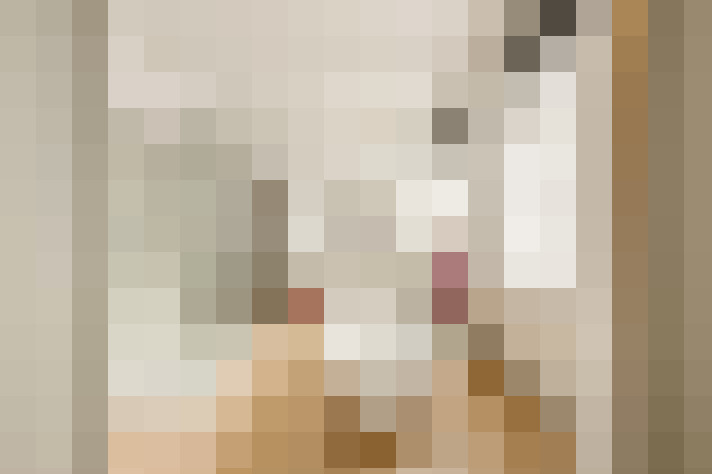 Image 29