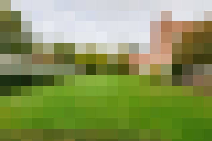 Image 38
