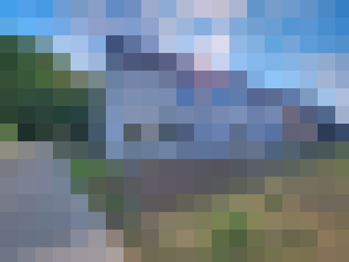 Image 17