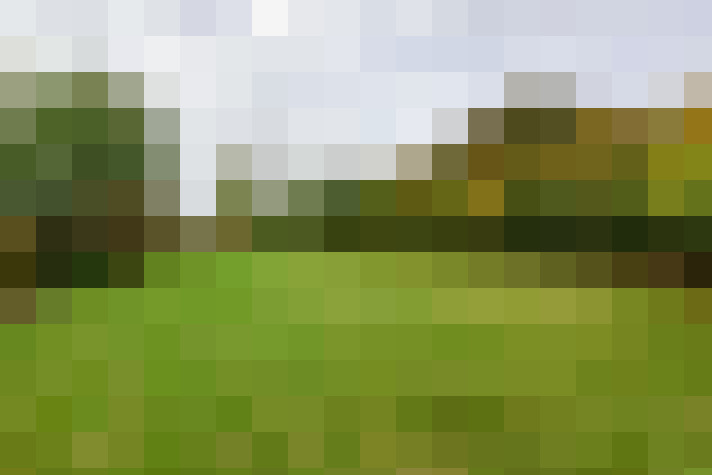 Image 39