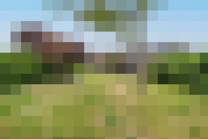 Image 26