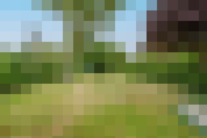 Image 25