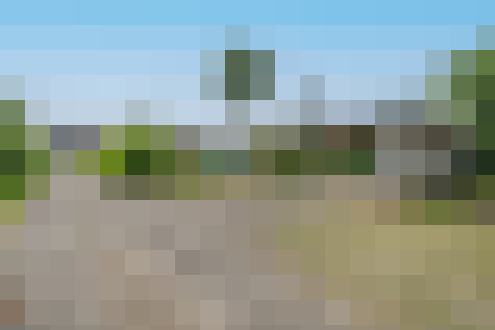 Image 29
