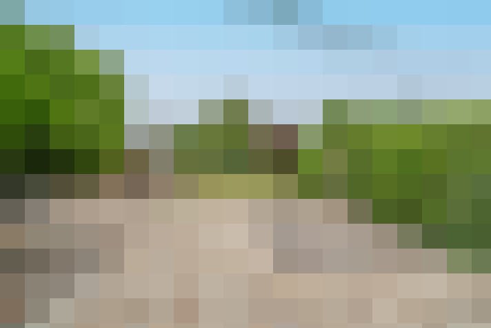 Image 20