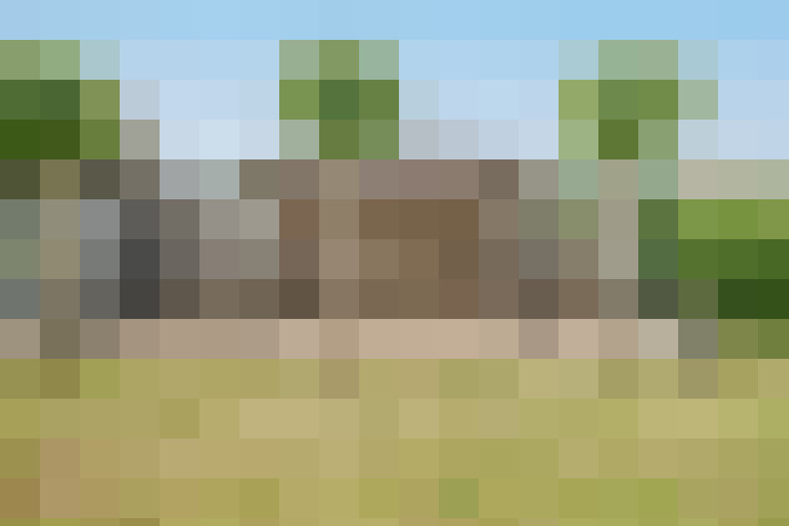Image 23