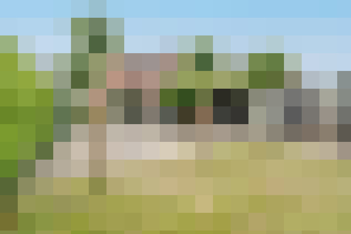 Image 24