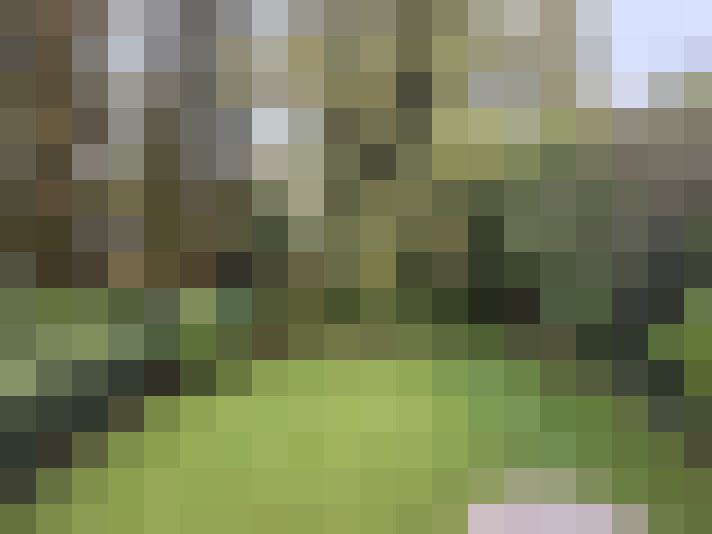 Image 14