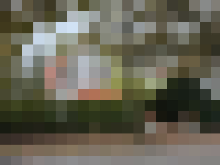 Image 22