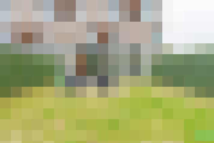 Image 15