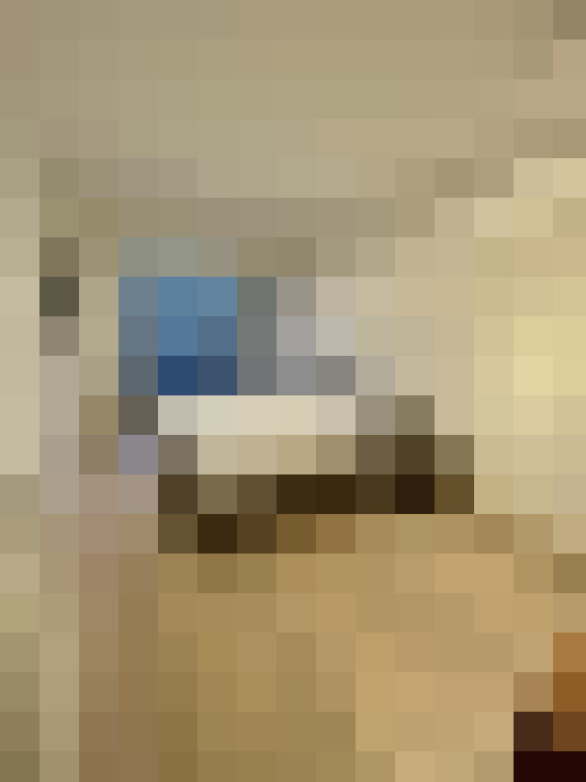 Image 31
