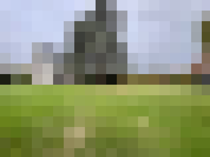 Image 13