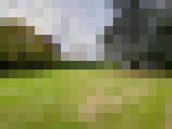 Image 14