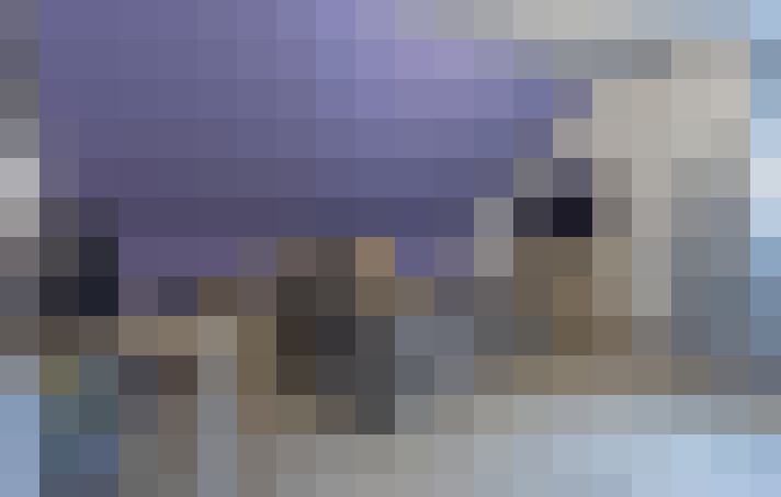 Image 31