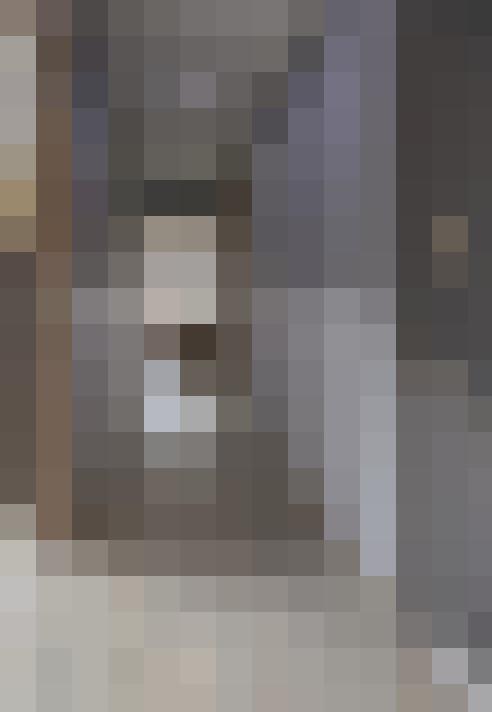 Image 29