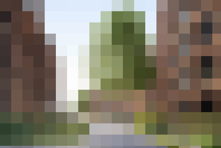 Image 20