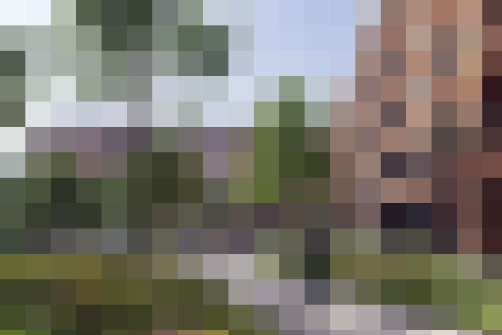 Image 17