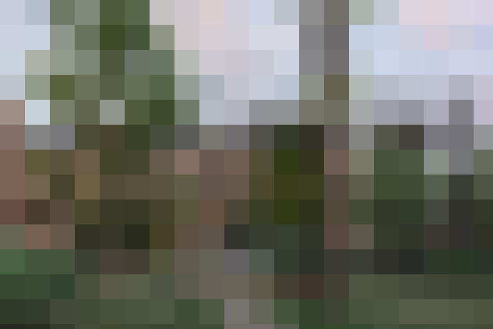Image 24
