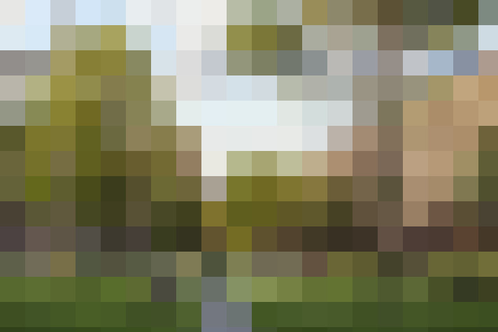 Image 25