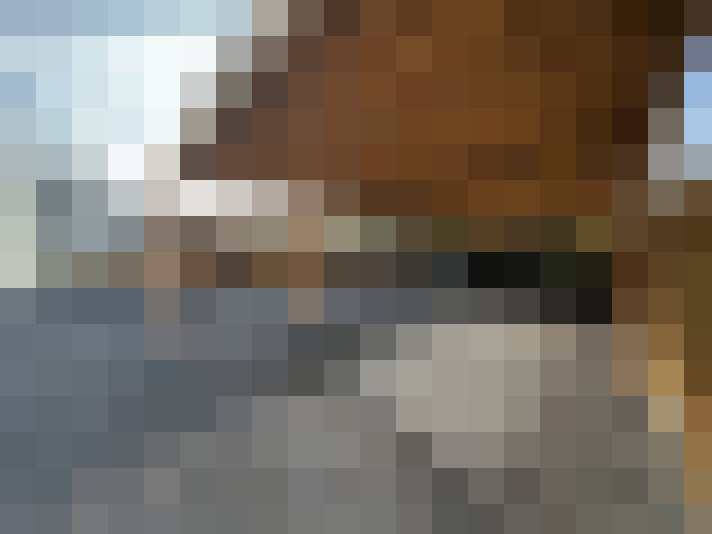 Image 15