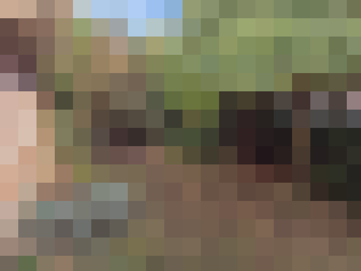 Image 14