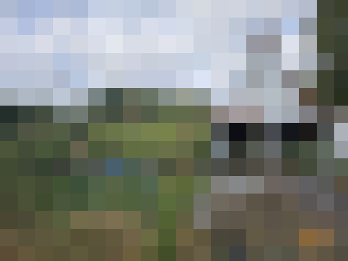 Image 15