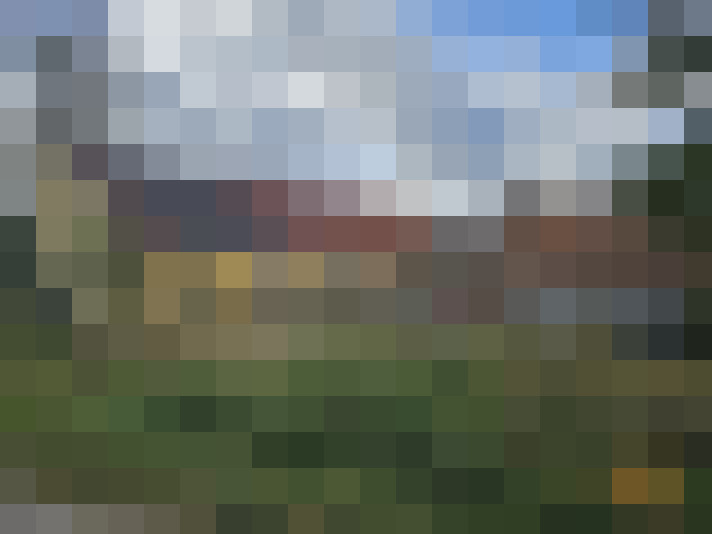 Image 13