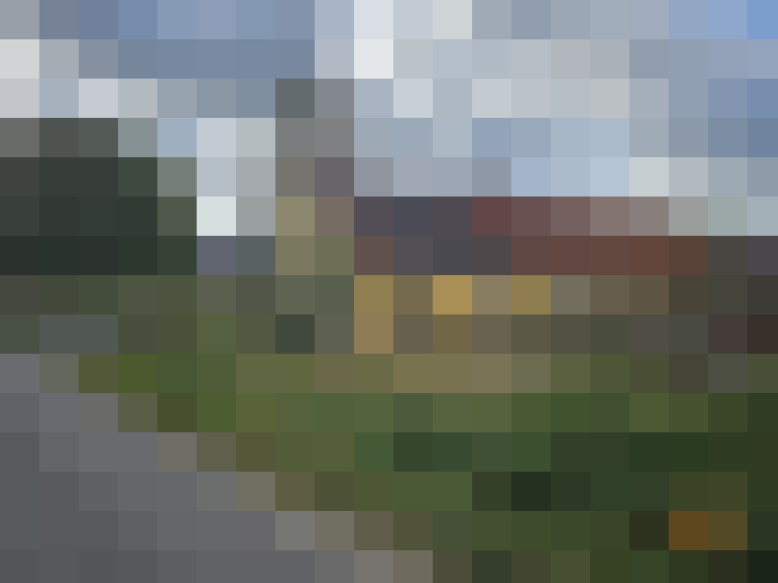 Image 14