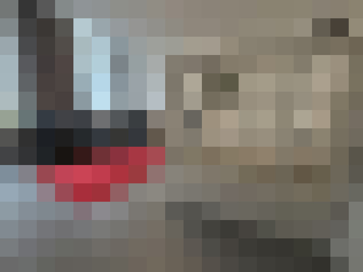  / #7