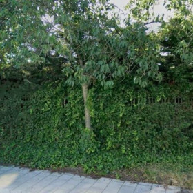 Maison d'habitation à Zwijndrecht