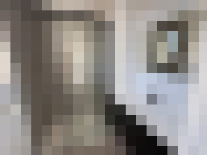  / #14
