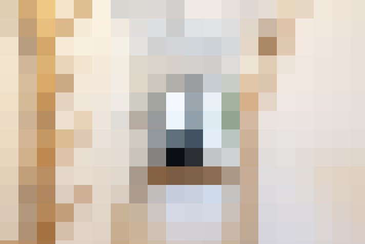  / #15