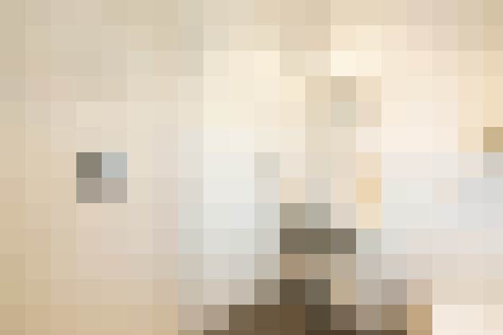  / #21