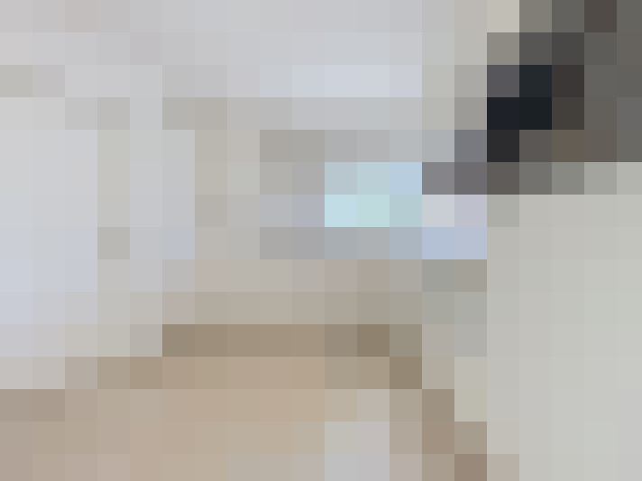  / #19